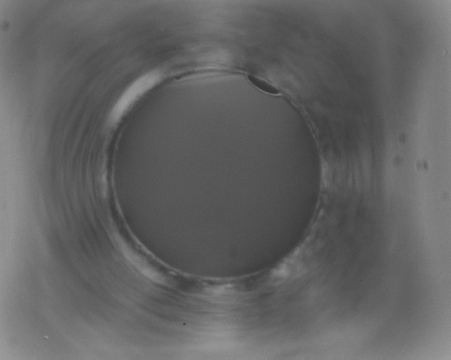 X0000076250054200610122215