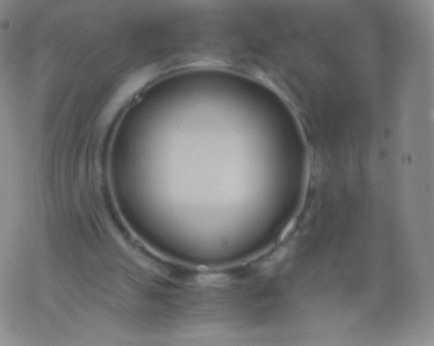 X0000076250055200610122215