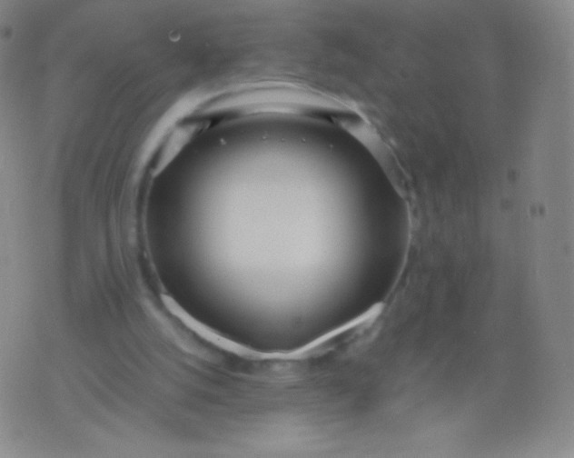 X0000076250056200610122215