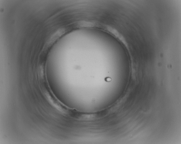 X0000076250057200610122215