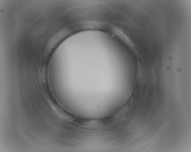 X0000076250058200610122215