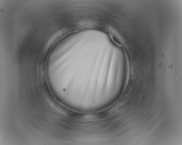 X0000076250059200610122215