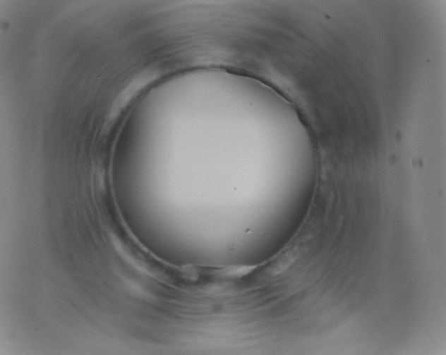 X0000076250060200610122215