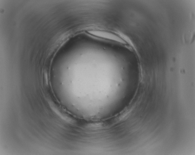 X0000076250061200610122215