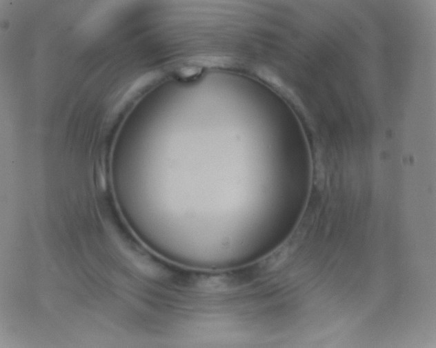 X0000076250062200610122215