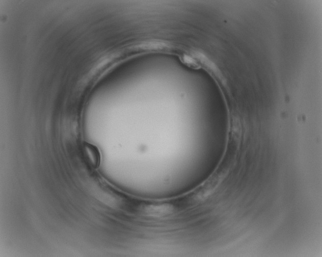 X0000076250063200610122215