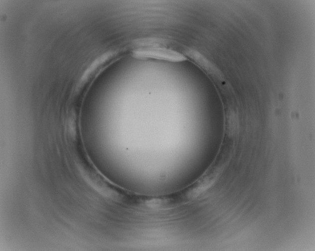 X0000076250064200610122215