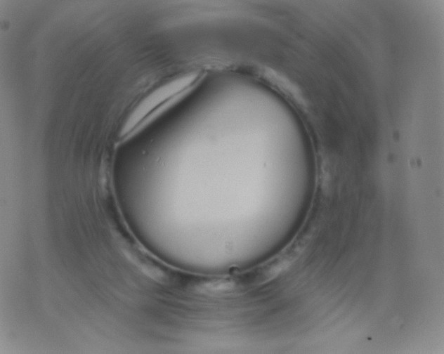 X0000076250065200610122215