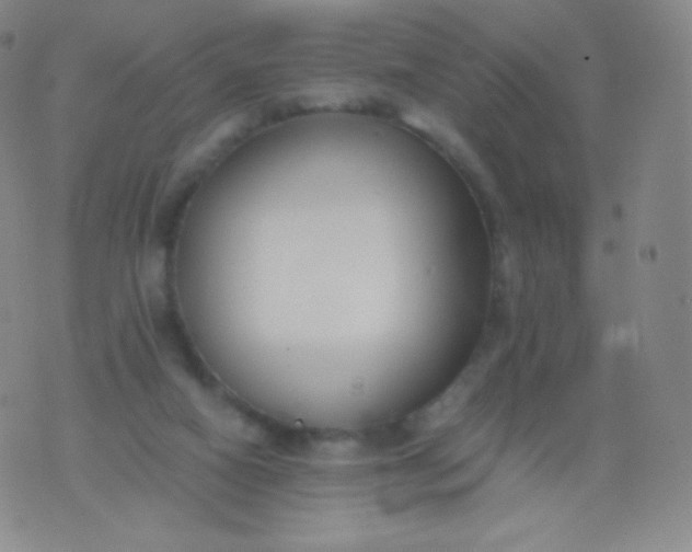 X0000076250066200610122215