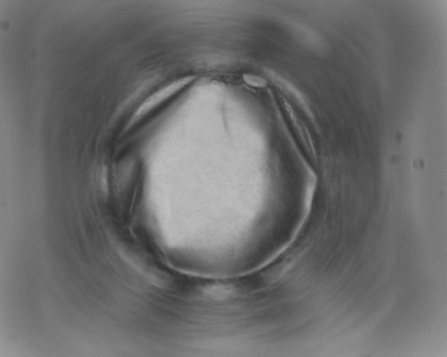 X0000076250067200610122215