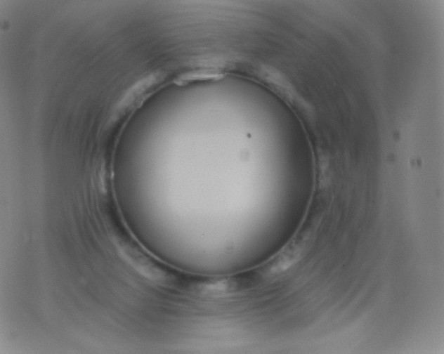 X0000076250068200610122215