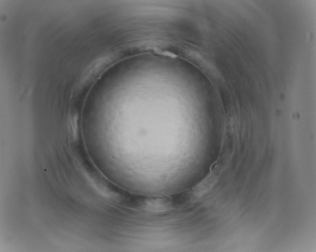 X0000076250070200610122215