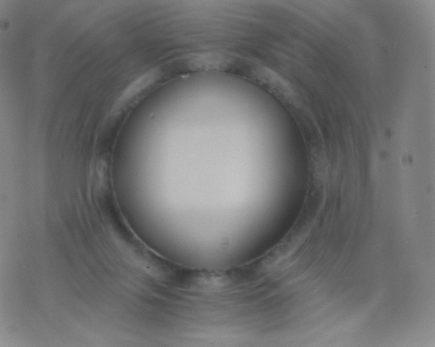 X0000076250071200610122216