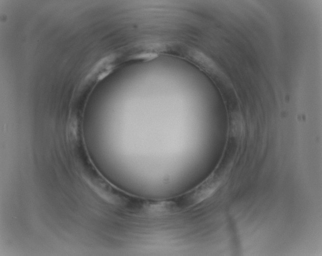 X0000076250072200610122216