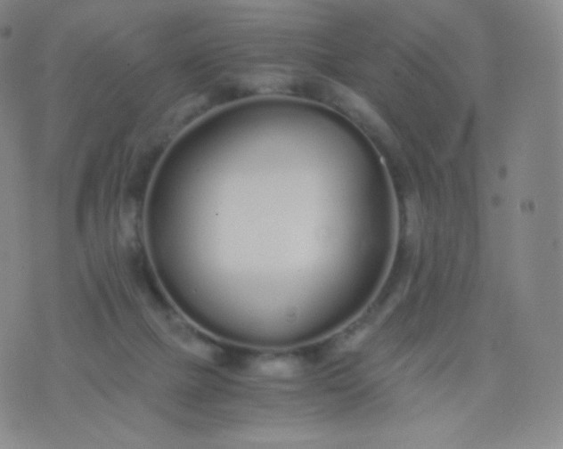 X0000076250073200610122216