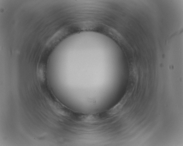 X0000076250074200610122216