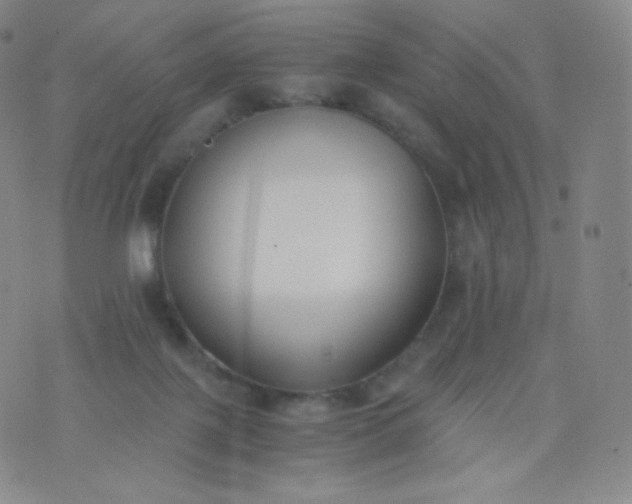 X0000076250075200610122216