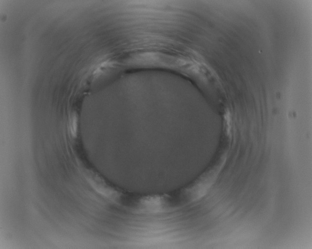 X0000076250076200610122216