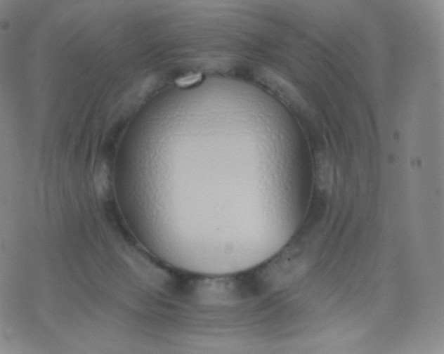 X0000076250077200610122216