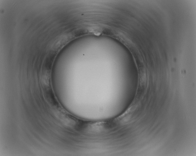 X0000076250078200610122216