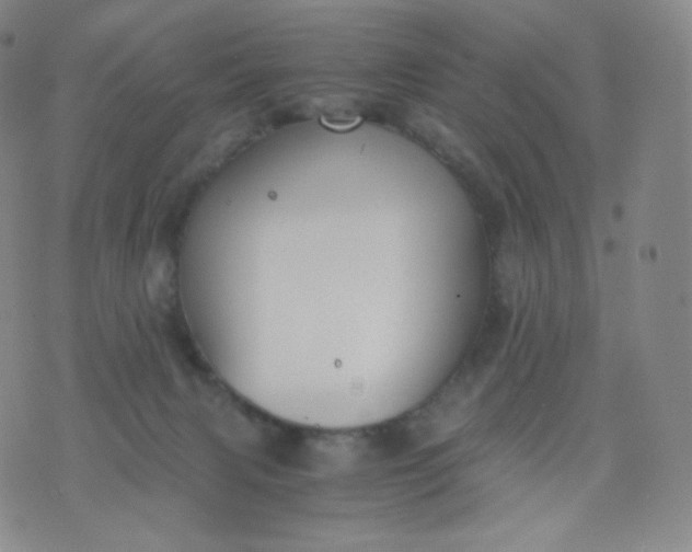 X0000076250079200610122216