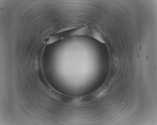 X0000076250080200610122216