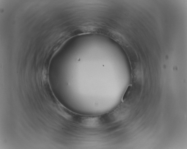 X0000076250081200610122216