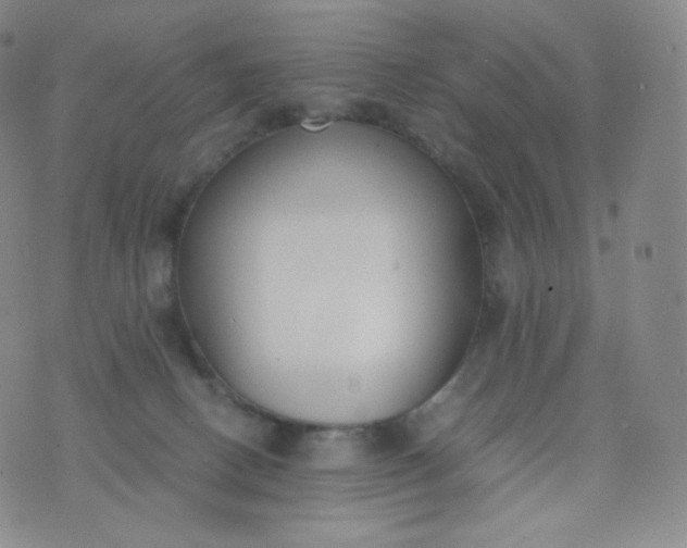 X0000076250082200610122216