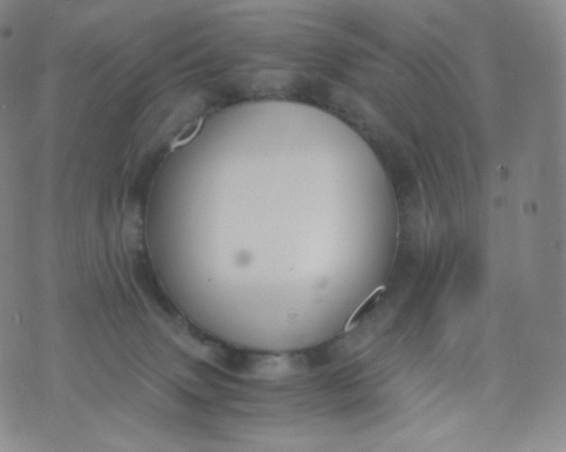 X0000076250083200610122216