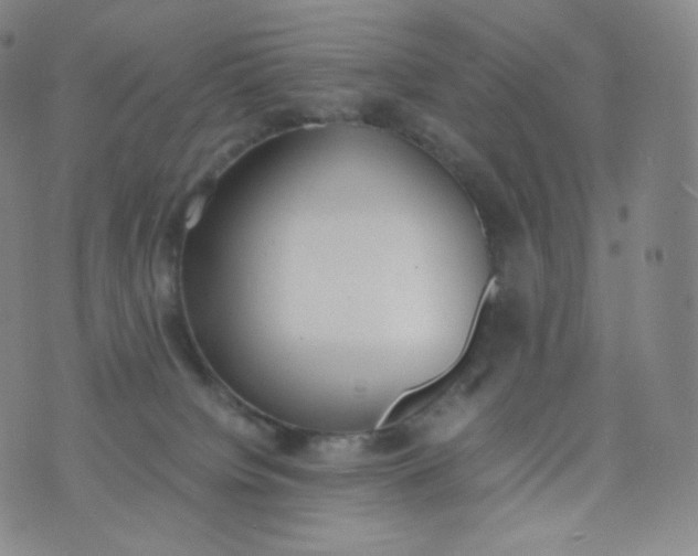 X0000076250084200610122216