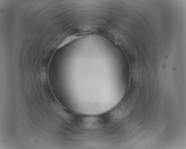 X0000076250085200610122216