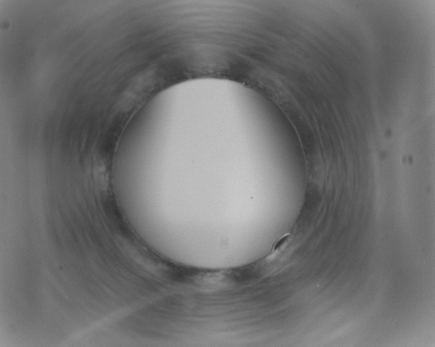 X0000076250086200610122216