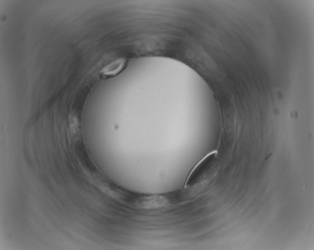 X0000076250087200610122216