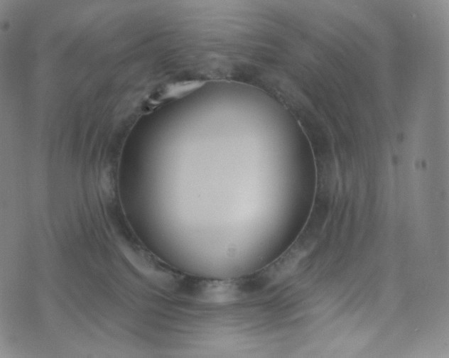 X0000076250088200610122216