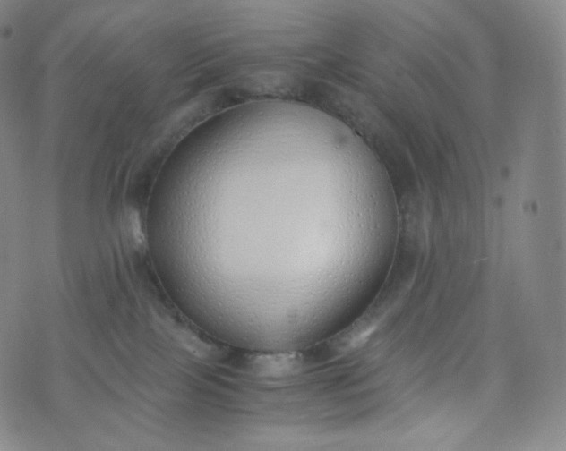 X0000076250089200610122216