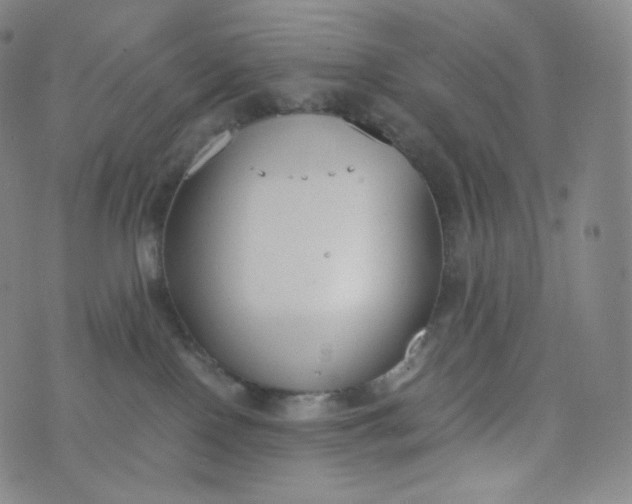 X0000076250090200610122216