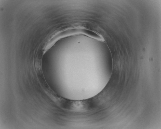 X0000076250091200610122216