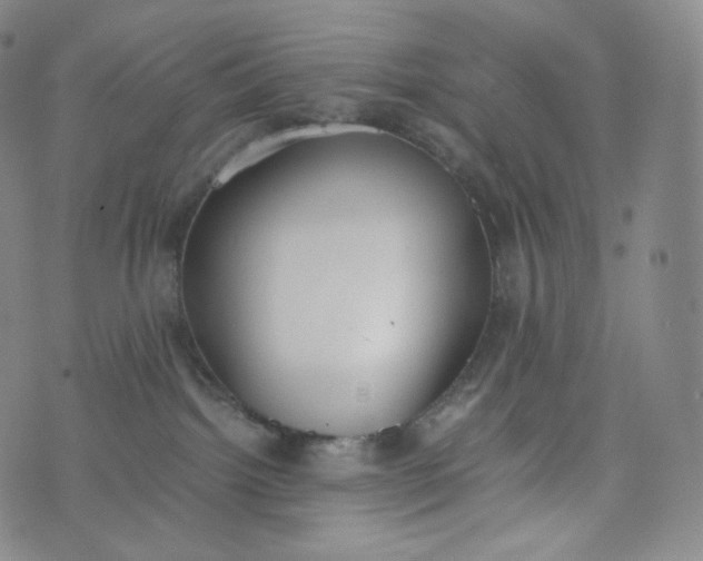 X0000076250092200610122216