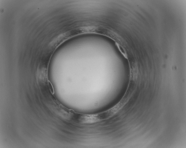 X0000076250093200610122216