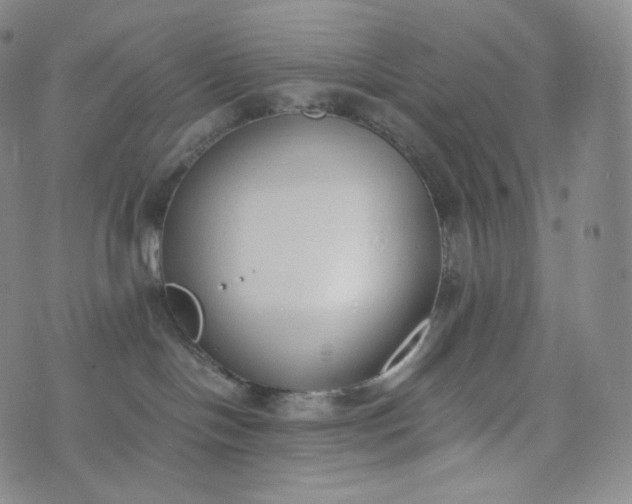 X0000076250094200610122216