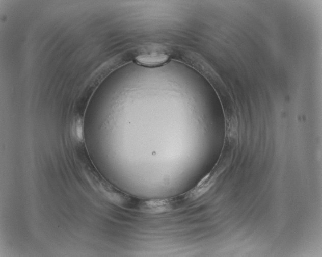 X0000076250095200610122216