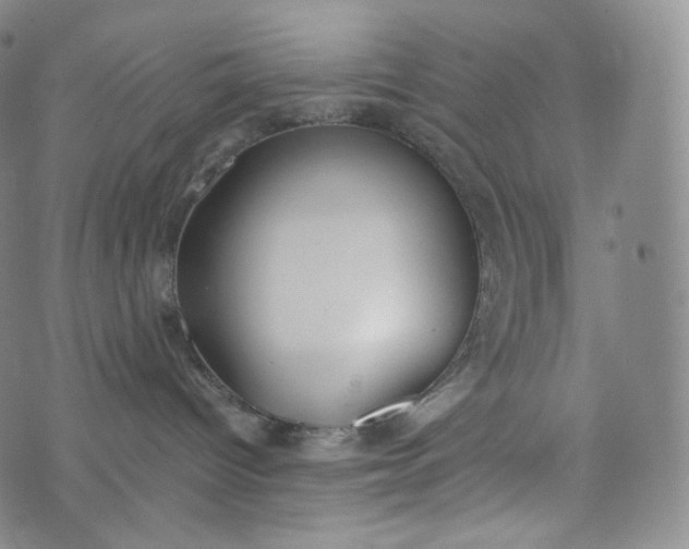 X0000076250096200610122216