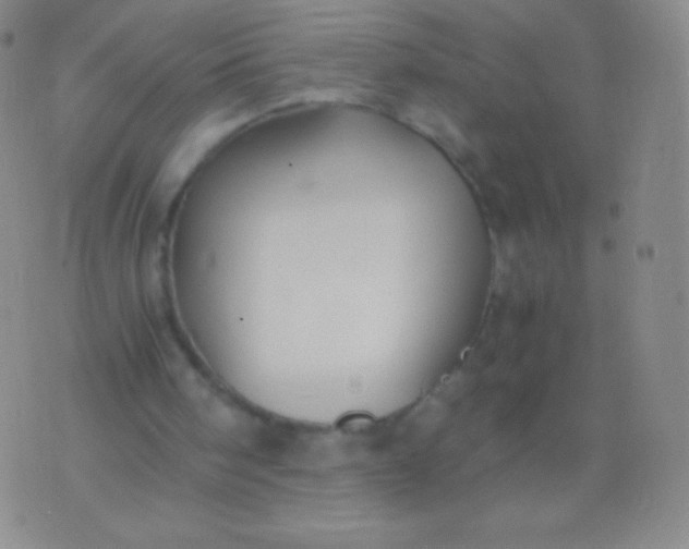 X0000076250098200610122215