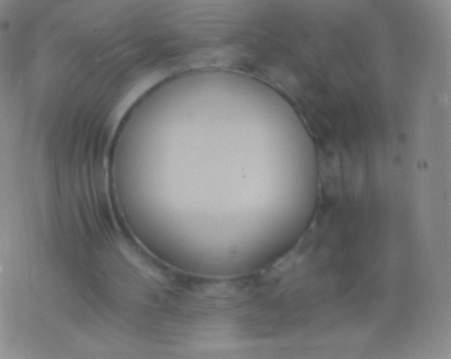 X0000076250100200610122215