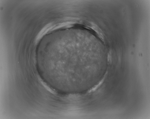 X0000076250101200610122215