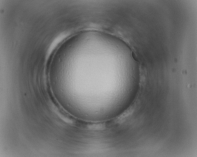 X0000076250102200610122215