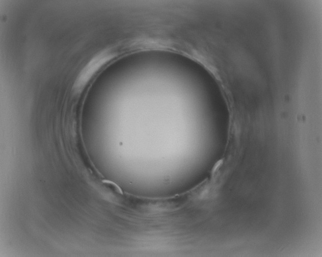 X0000076250103200610122215