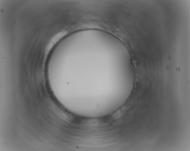 X0000076250104200610122215