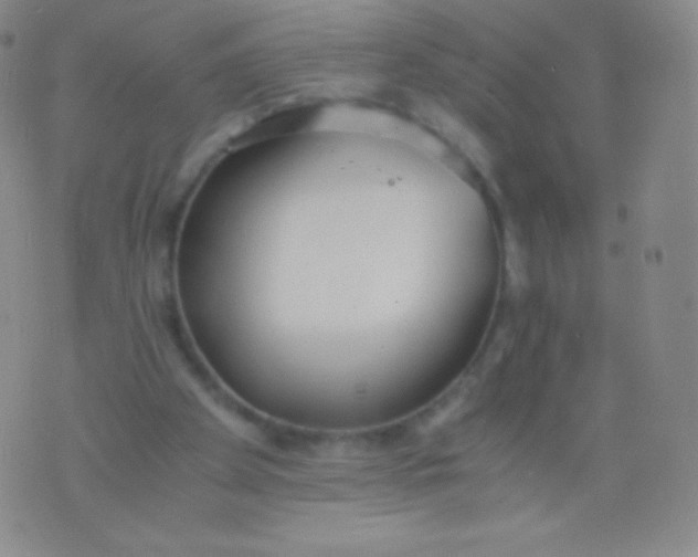 X0000076250105200610122215