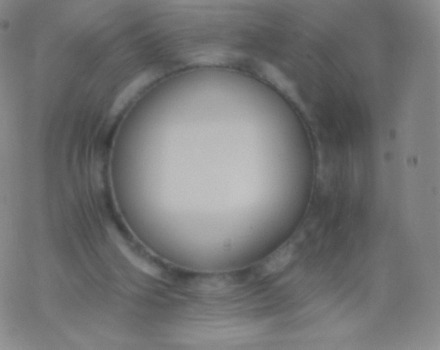 X0000076250106200610122215